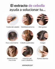 Extracto de Cebolla para el Cabello | Recuperación Capilar y Crecimiento – Aminoplex®
